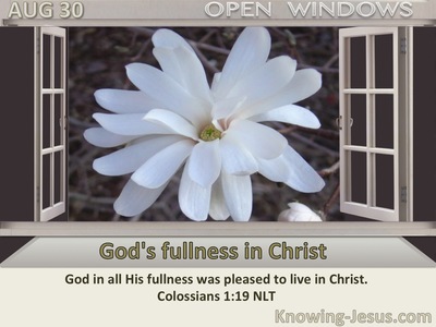 God's fullness in Christ